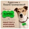 Адресник для собаки с гравировкой большая зелёная "Косточка" 38*25мм (металл), собаке, для кошек, на ошейник, брелок, медальон