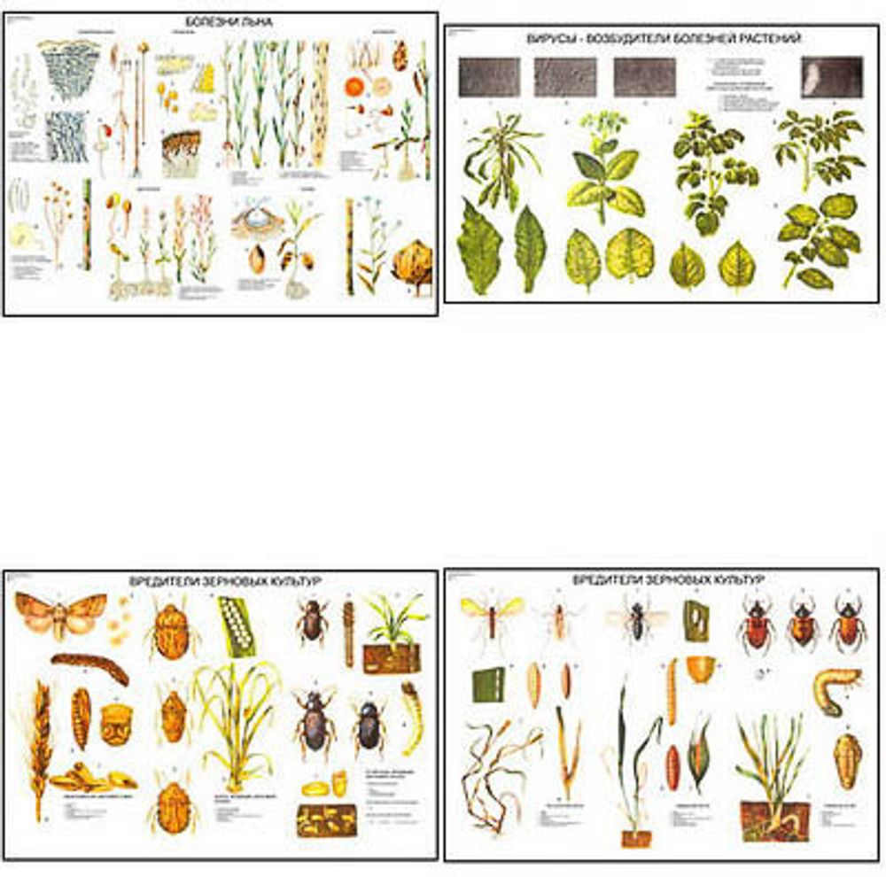 Плакаты ПРОФТЕХ &quot;Вредители и болезни сельскохозяйственных культур&quot; (15 пл, винил, 70х100)