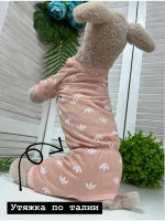 Трикотажный комбинезон для собак и кошек