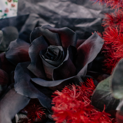 87. Стильный темный букет с черными французскими розами