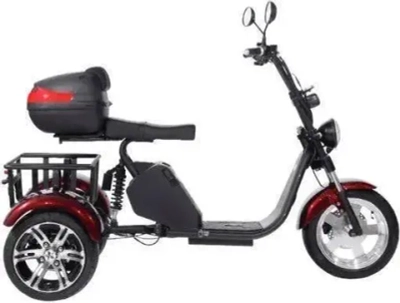 Электроскутер SKYBOARD CITYCOCO TRIKE BR80