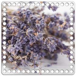 Донышко Принт 20*20см