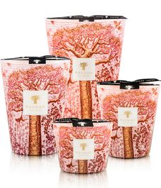 Woroba, свеча MAX 16 Sacred Trees collection, Baobab Collection