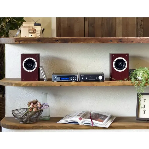 TEAC PD-301-X Silver
