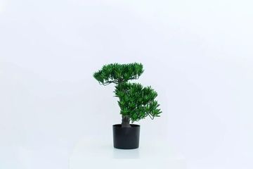 Бонсай листовой в. 45 см/ ш. 50 см (черный ствол)