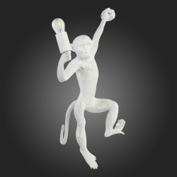 Светильник настенный Evoluce Tenato SLE115111-01