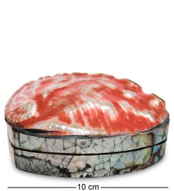 Decor and Gift 54-045-01 Декоративная шкатулка «Ракушка»