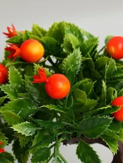 Бонсай в горшке "Деревце плодовое" 10х18 см