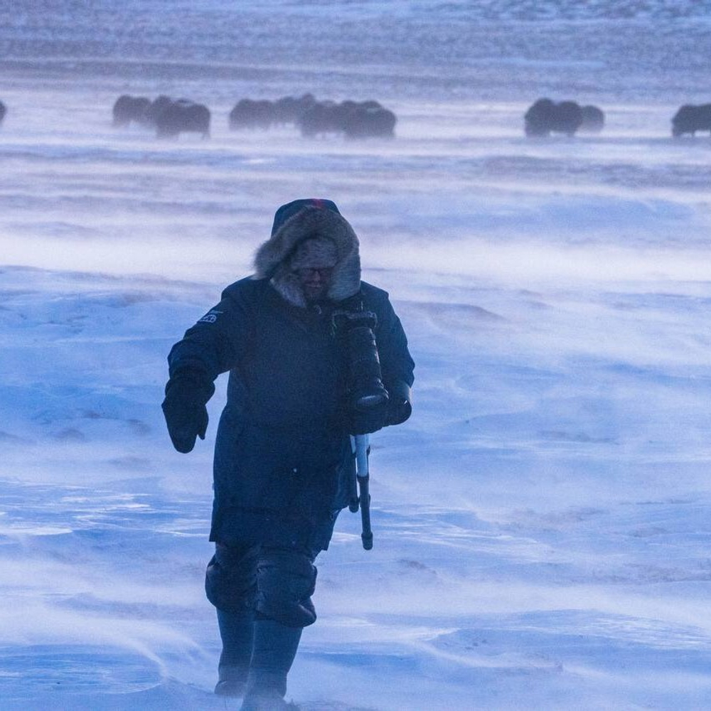 Остров метелей