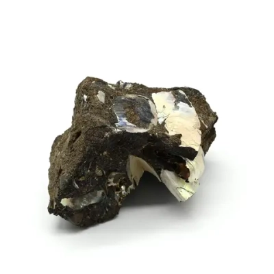 Минерал аммонит 49*35*29мм, 48г (T)