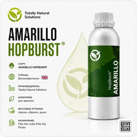 HOPBURST AMARILLO