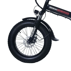 Электровелосипед Jetson F20 BIZON (48V13Ah)