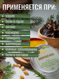 Живичная мазь