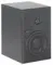 Dynaudio BM6A