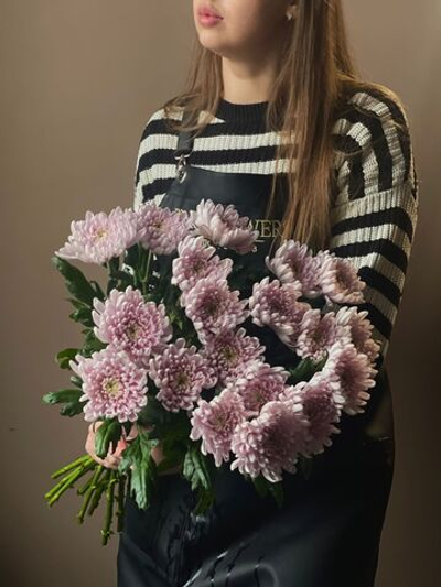 Хризантема одноголовая (Сиреневая)