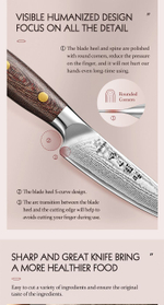 Кухонный нож Hezhen X02M Paring нож 4 дюйма клинок 67 Layers Damascus рукоять микарта, длина лезвия 11 см