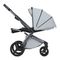 Коляска ANEX l/type 3 в 1 (lt-10t) frost