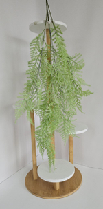 Аспарагус / Арт 4426