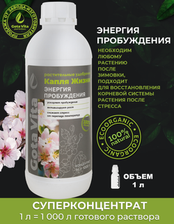 Энергия пробуждения