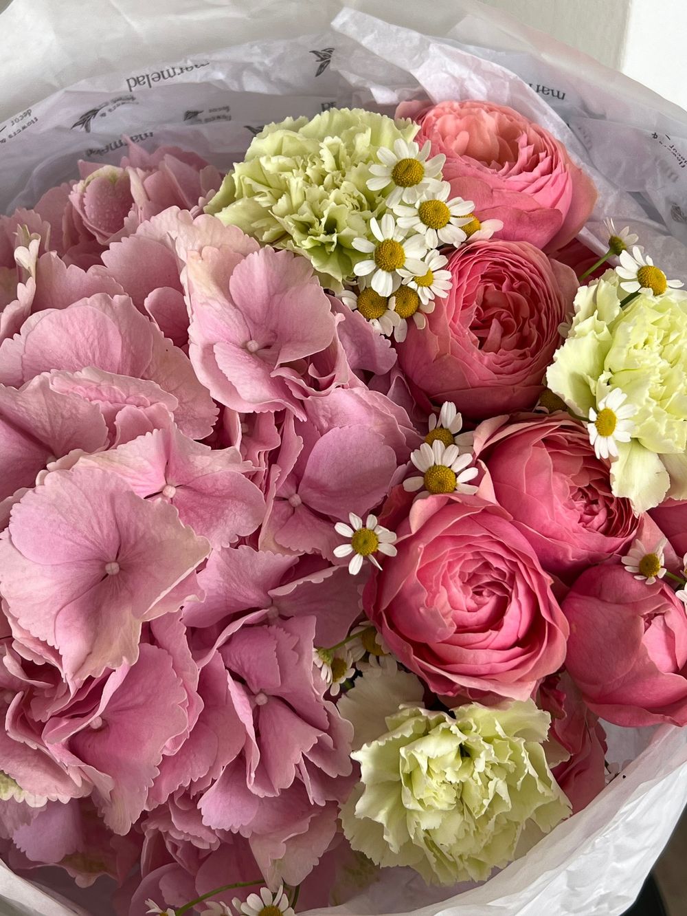 Букет сборный из гортензии, ромашки, кустовых пионовидных роз и диантусов