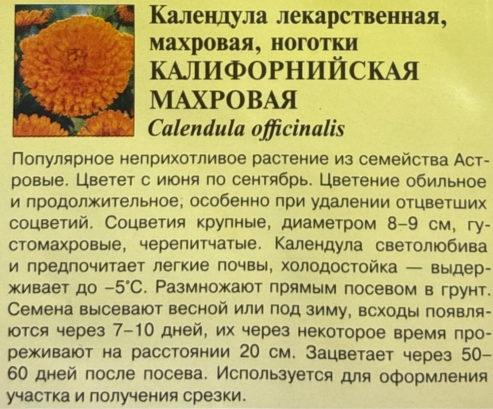 Календула Калифорнийская махр. 0,3 г СМЦ-580