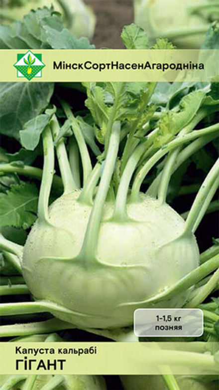 Капуста кольраби "Гигант" 0.5г, Германия.