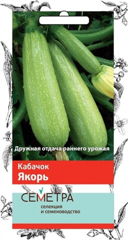 Кабачок Якорь