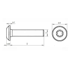 Винт шлиц TORX ИСО 7380-2 А2 M 3х30/30 Tх10 с полукруглой головкой с фланцем в упак  1000 шт