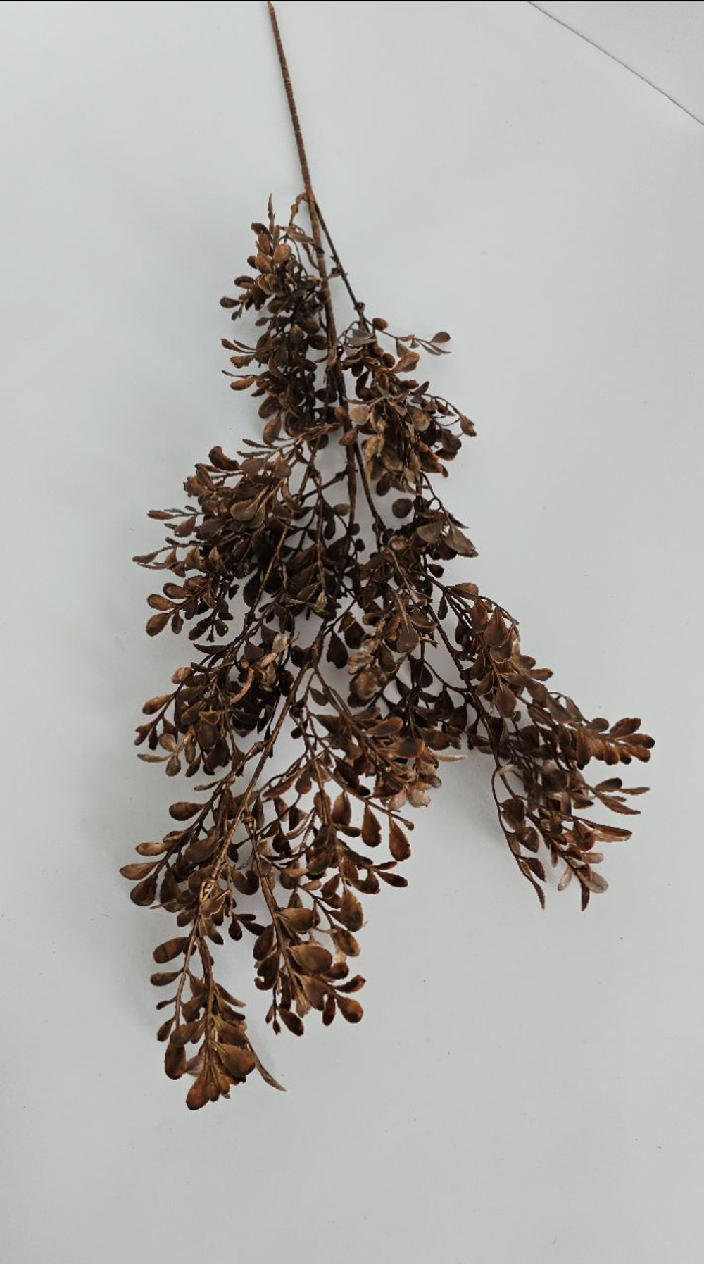 Самшит цветной / Арт 1283