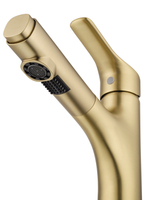 Смеситель для раковины с выдвижным изливом WONZON & WOGHAND, Брашированное золото (WW-AE4151-BG)