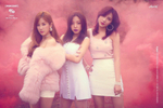 Альбом Apink - Percent % 8th Mini Album RANDOM Version