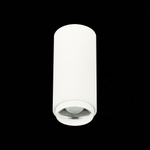 ST600.532.10 Светильник потолочный Zoom Белый LED 1*10W 3000K 1 000Lm Ra&gt;80 15-60° IP20 D59xH130 170 Накладные светильники