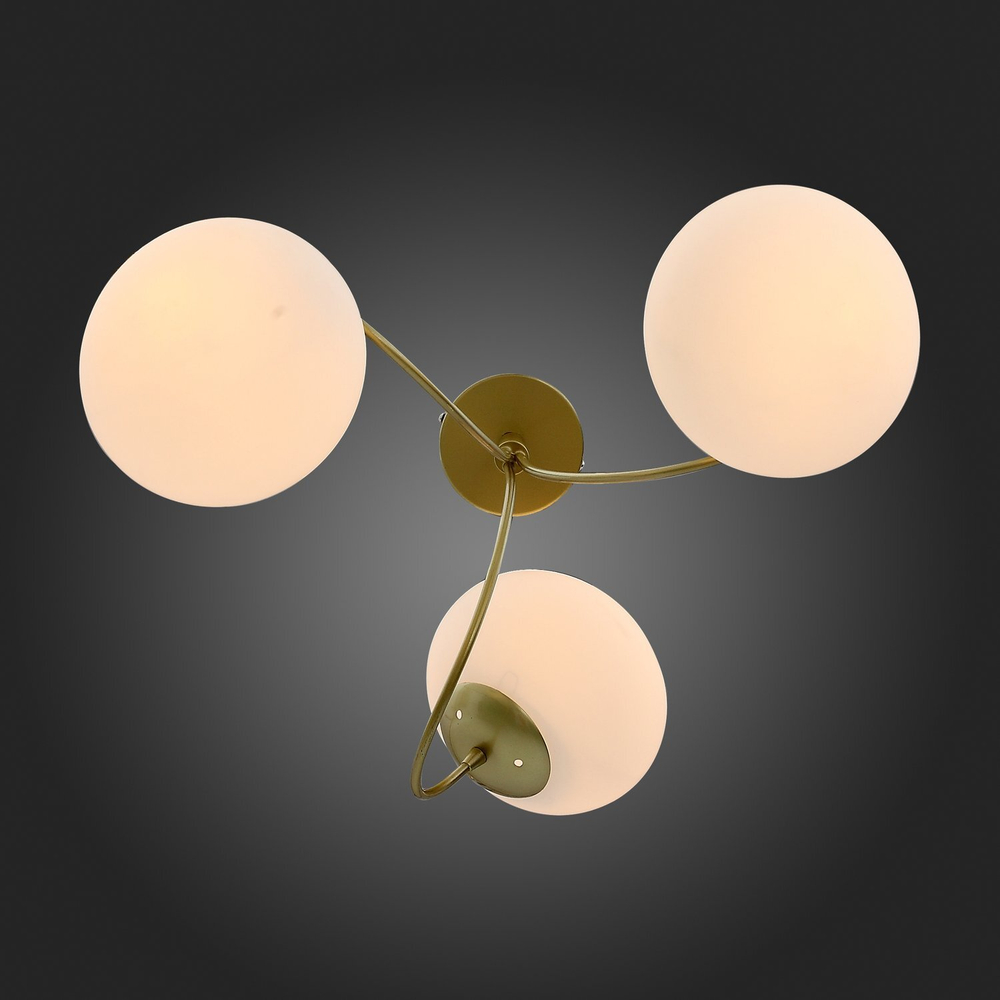 Светильник потолочный Evoluce Acini SL717.202.03