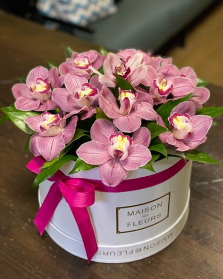 Орхидеи в белой подарочной коробке "Maison des Fleurs"