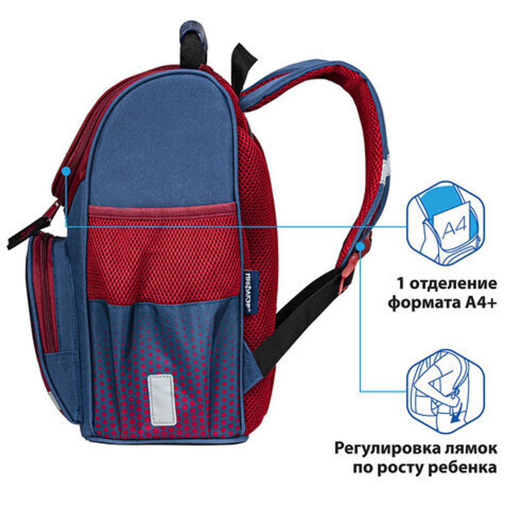 Ранец ПИФАГОР BASIC, с эргономичной спинкой, "Champion", 35х28х18 см, 270685