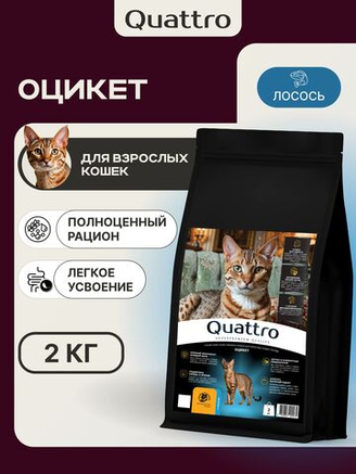Кошки