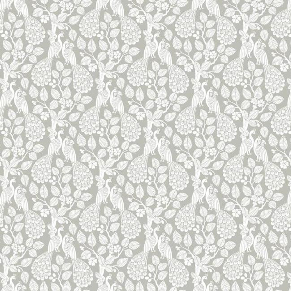 Small Prints Resource Library