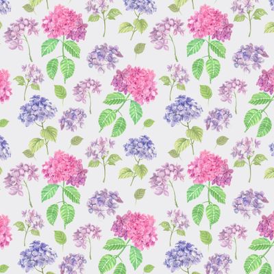 Гортензии 02