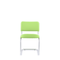 Стул Сильвия СН S-0406 (фисташковый)