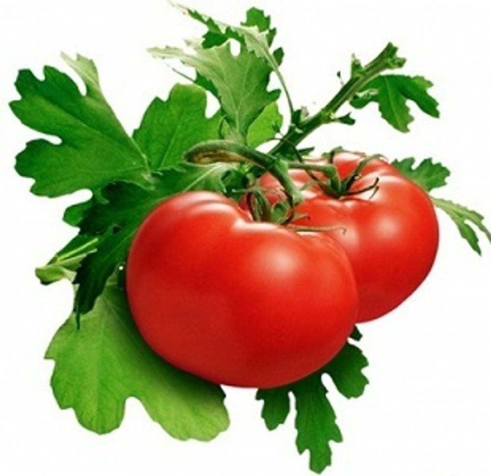 ТОМАТНОГО ЛИСТА ТИАЗОЛ 0.1% в ДПГ (Tomato leaf thiazole 0.1% PFW)