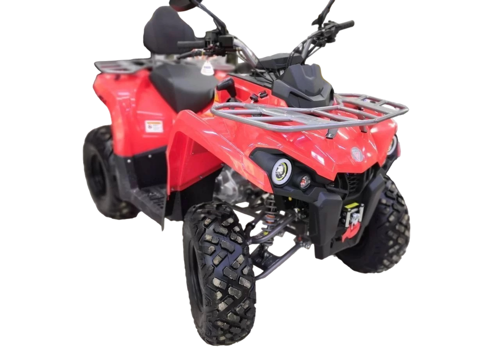 Квадроцикл MOTAX ATV Grizlik 200 Ultra