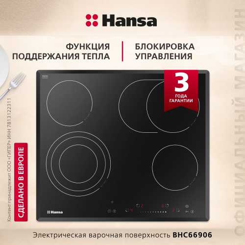 Электрическая панель Hansa BHC66906