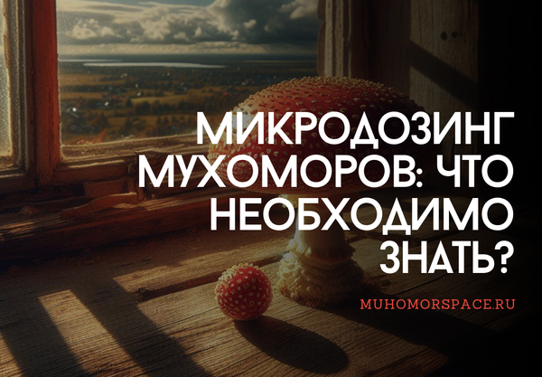 Микродозинг мухоморов: с чего начинать и что необходимо знать?