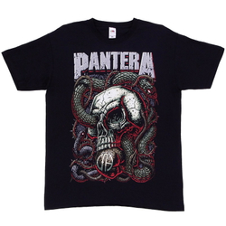 Футболка Pantera Skull & Snake