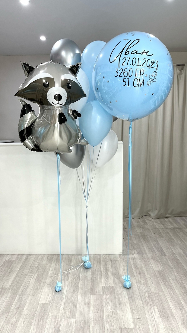 Шары на выписку №115