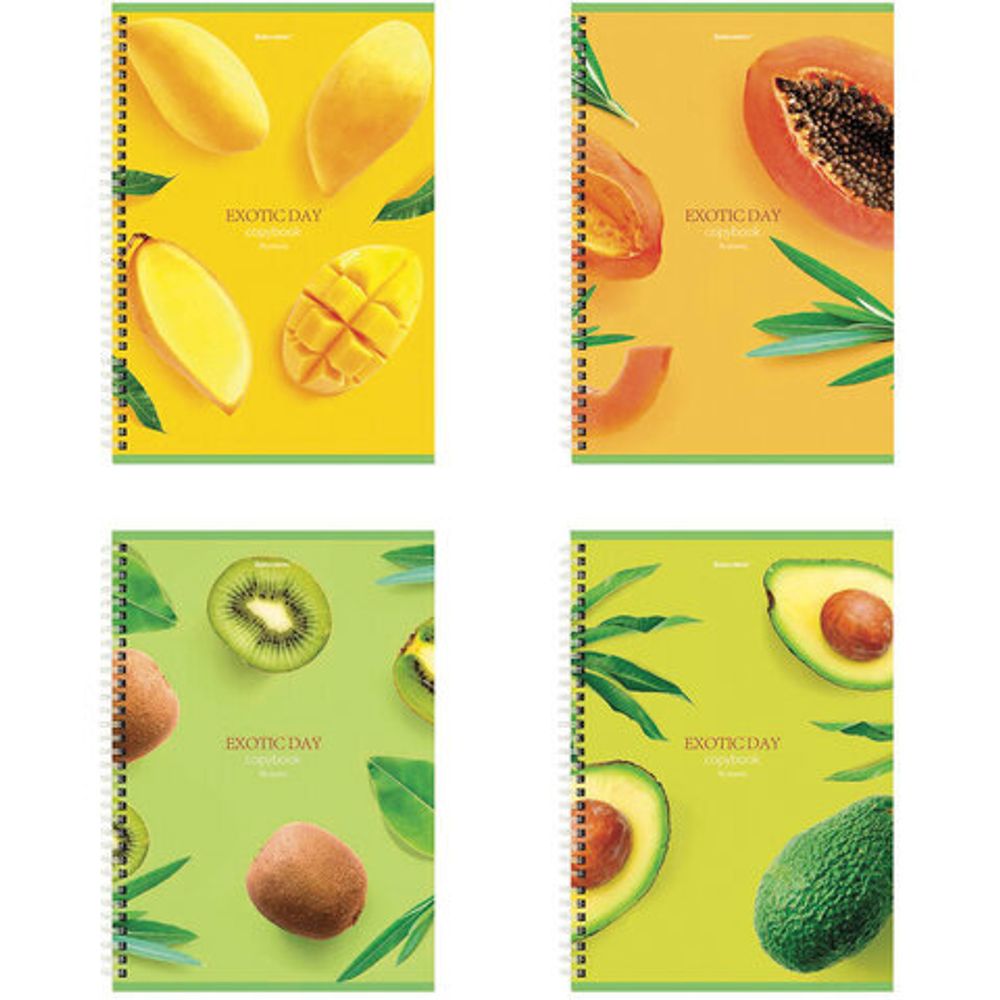 Тетрадь А4, 96 л., BRAUBERG, гребень, клетка, матовая ламинация, "Exotic", 404062, 4шт