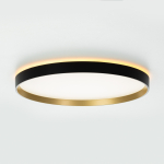 Потолочный светодиодный светильник Citilux Etalon CL750401R LED RGB