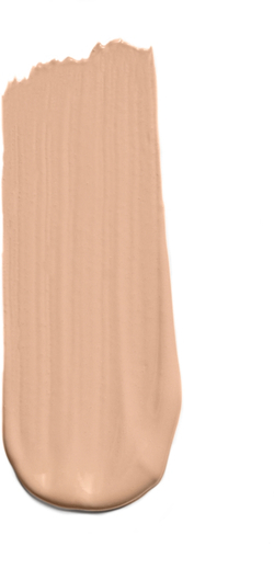 Dolce&Gabbana Flawless Everlast Foundation - Интенсивно маскирующий флюид с длительным действием SPF 20. оттенок 05N LIGHT, 27 ml