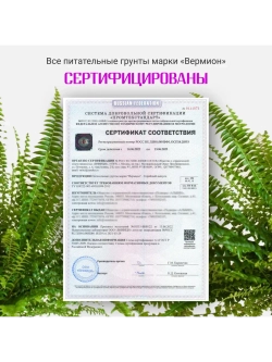 Органический грунт для папоротника 2,5 л
