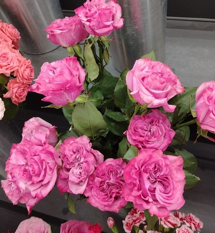 11 роз Кантри блюз в упаковке крафт